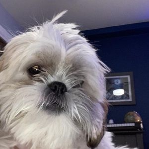 Meet your Posher, Ethan